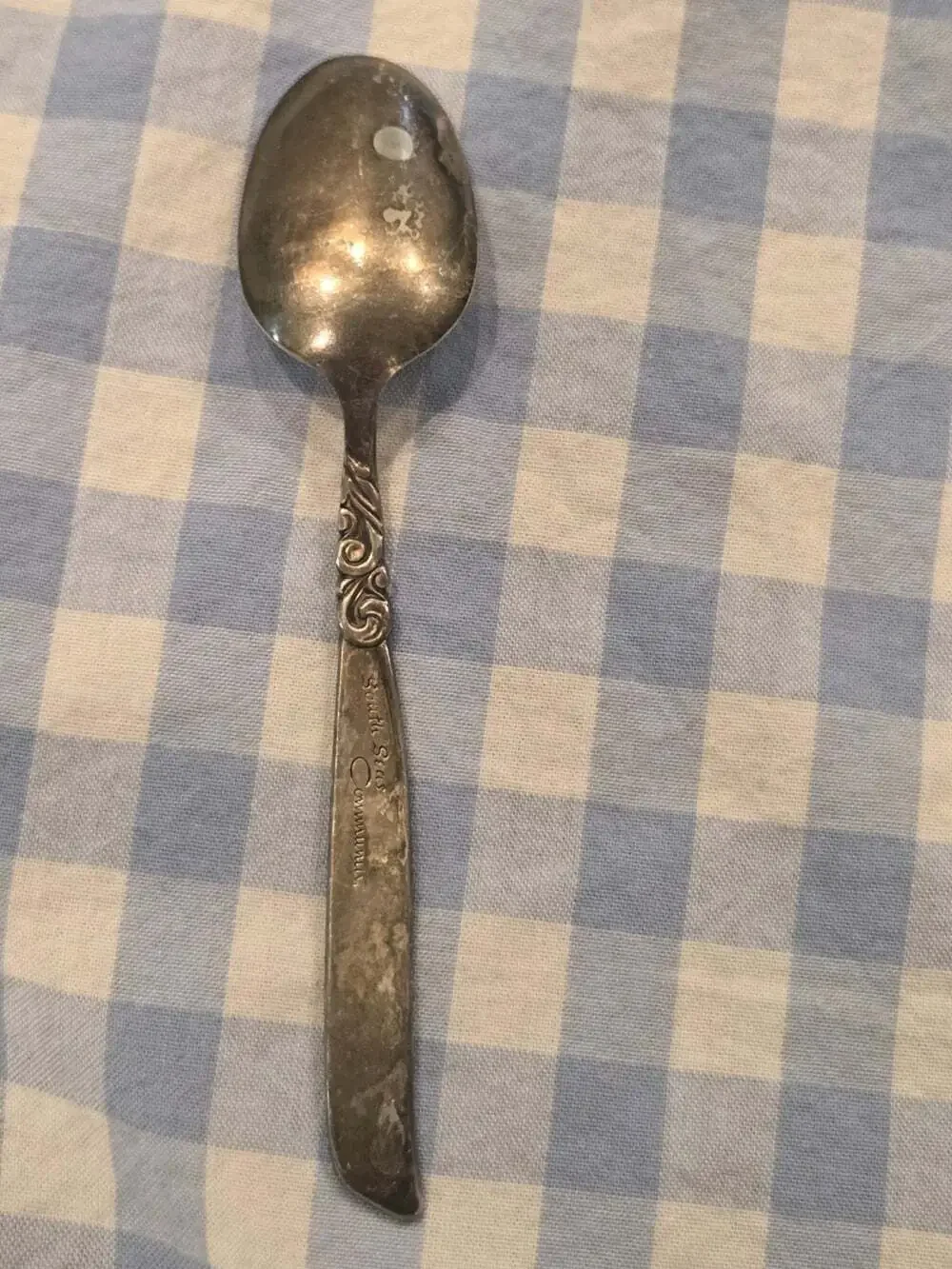 Vintage Silver Plated Spoon Oneida Community South Seas Pattern Souvenir